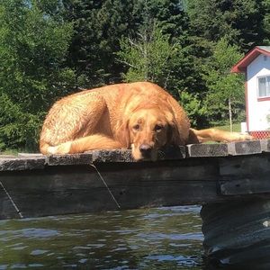 Meet your Posher, Deanna